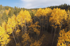Aerial-Aspen-12