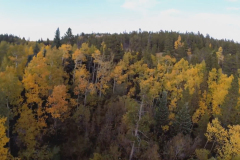 Aerial-Aspen-5