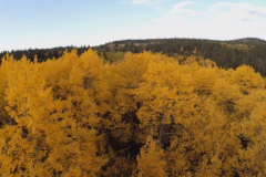 Aerial-Aspen-6