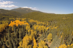 Aerial-Aspen-Pines-1