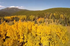 Aerial-Aspen-Pines-4