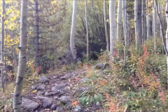 Aspen-6
