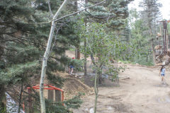 Aspen-Twisting-Green-vertical-3