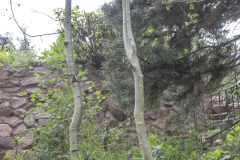 Aspen-Twisting-Green-vertical-6
