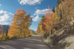Aspens-20