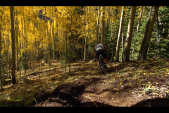 Aspens-2016-19
