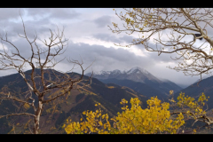 Aspens-2016-22