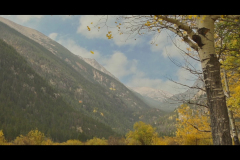 Aspens-2016-6