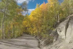 Aspens-23