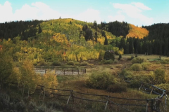 Aspens-30