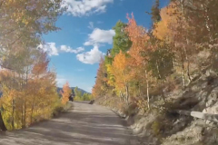 Aspens-53