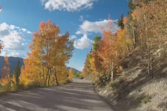 Aspens-54