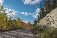 Aspens-55