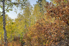 Aspens-Mountains-Rocks-12