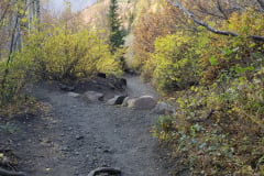 Aspens-Mountains-Rocks-29