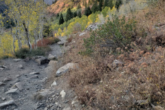 Aspens-Mountains-Rocks-35