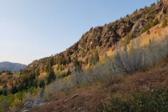 Aspens-Mountains-Rocks-39