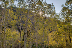 Aspens-Mountains-Rocks-5