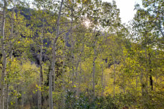 Aspens-Mountains-Rocks-6