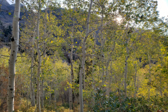 Aspens-Mountains-Rocks-7