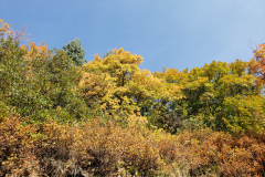 Aspens-Mountains-of-Utah-Oct-2020-24