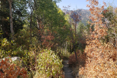 Aspens-Mountains-of-Utah-Oct-2020-33