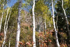 Aspens-Mountains-of-Utah-Oct-2020-58