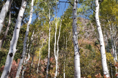 Aspens-Mountains-of-Utah-Oct-2020-59