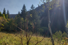 Aspens-Mountains-of-Utah-Oct-2020-68