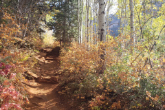 Aspens-Mountains-of-Utah-Oct-2020-76