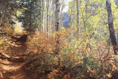 Aspens-Mountains-of-Utah-Oct-2020-77