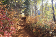Aspens-Trail-Utah-from-Aurora-cropped