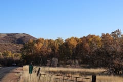 Aspens-Utah-1-124