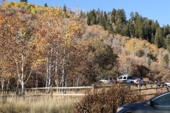 Aspens-Utah-1-136