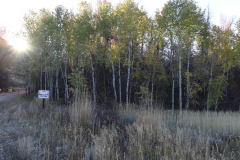 Aspens-Utah-1-4