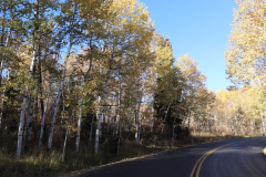 Aspens-Utah-1-45