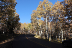 Aspens-Utah-1-53