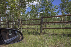 Aspens-from-Danielles-camera-9