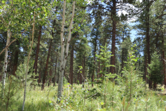 Colorado-Wyoming-South-Dakota-Broadmoor-Trip-2020-129
