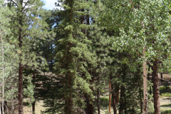 Colorado-Wyoming-South-Dakota-Broadmoor-Trip-2020-150