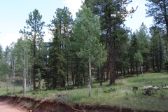 Colorado-Wyoming-South-Dakota-Broadmoor-Trip-2020-163