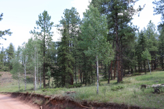 Colorado-Wyoming-South-Dakota-Broadmoor-Trip-2020-164