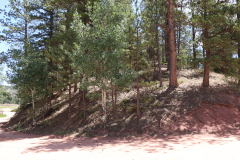 Colorado-Wyoming-South-Dakota-Broadmoor-Trip-2020-191