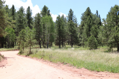 Colorado-Wyoming-South-Dakota-Broadmoor-Trip-2020-193