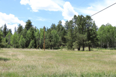 Colorado-Wyoming-South-Dakota-Broadmoor-Trip-2020-198