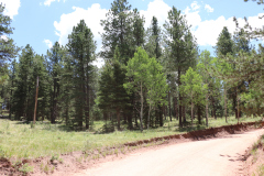 Colorado-Wyoming-South-Dakota-Broadmoor-Trip-2020-202