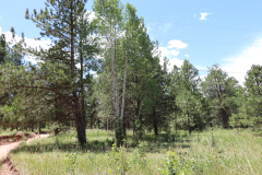 Colorado-Wyoming-South-Dakota-Broadmoor-Trip-2020-207