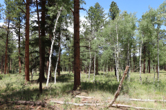 Colorado-Wyoming-South-Dakota-Broadmoor-Trip-2020-209