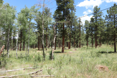 Colorado-Wyoming-South-Dakota-Broadmoor-Trip-2020-212
