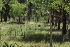 Colorado-Wyoming-South-Dakota-Broadmoor-Trip-2020-216
